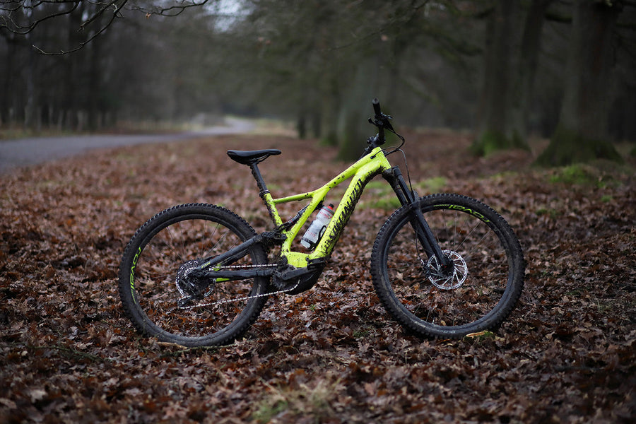 Kundenbikes & Bikefotos: Eure Fahrräder unterwegs