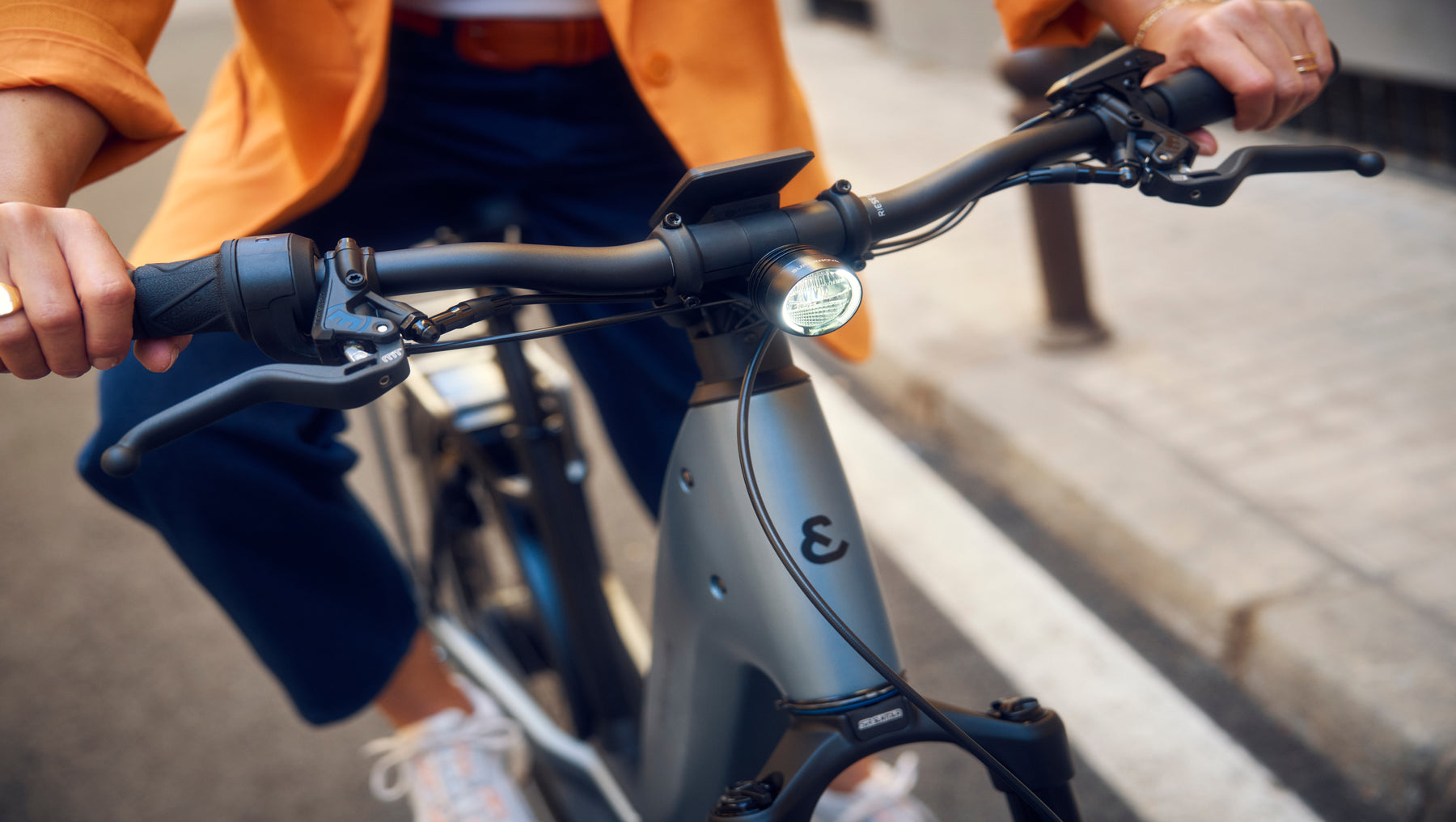 Detailbild Lenker eines Riese & Müller Nevo5 Fahrrad