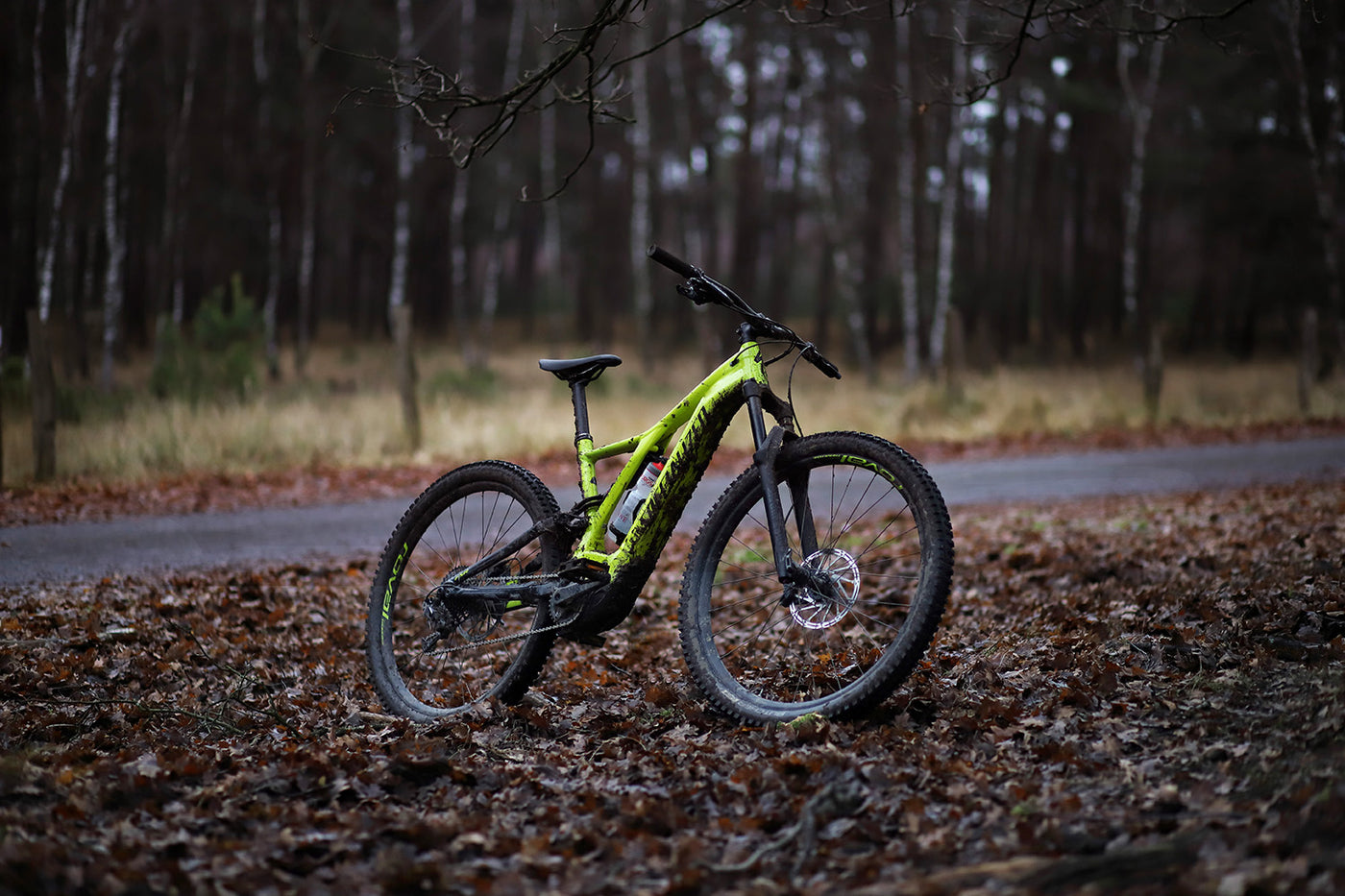 Gelbes Specialized Levo Comp an einem Waldweg