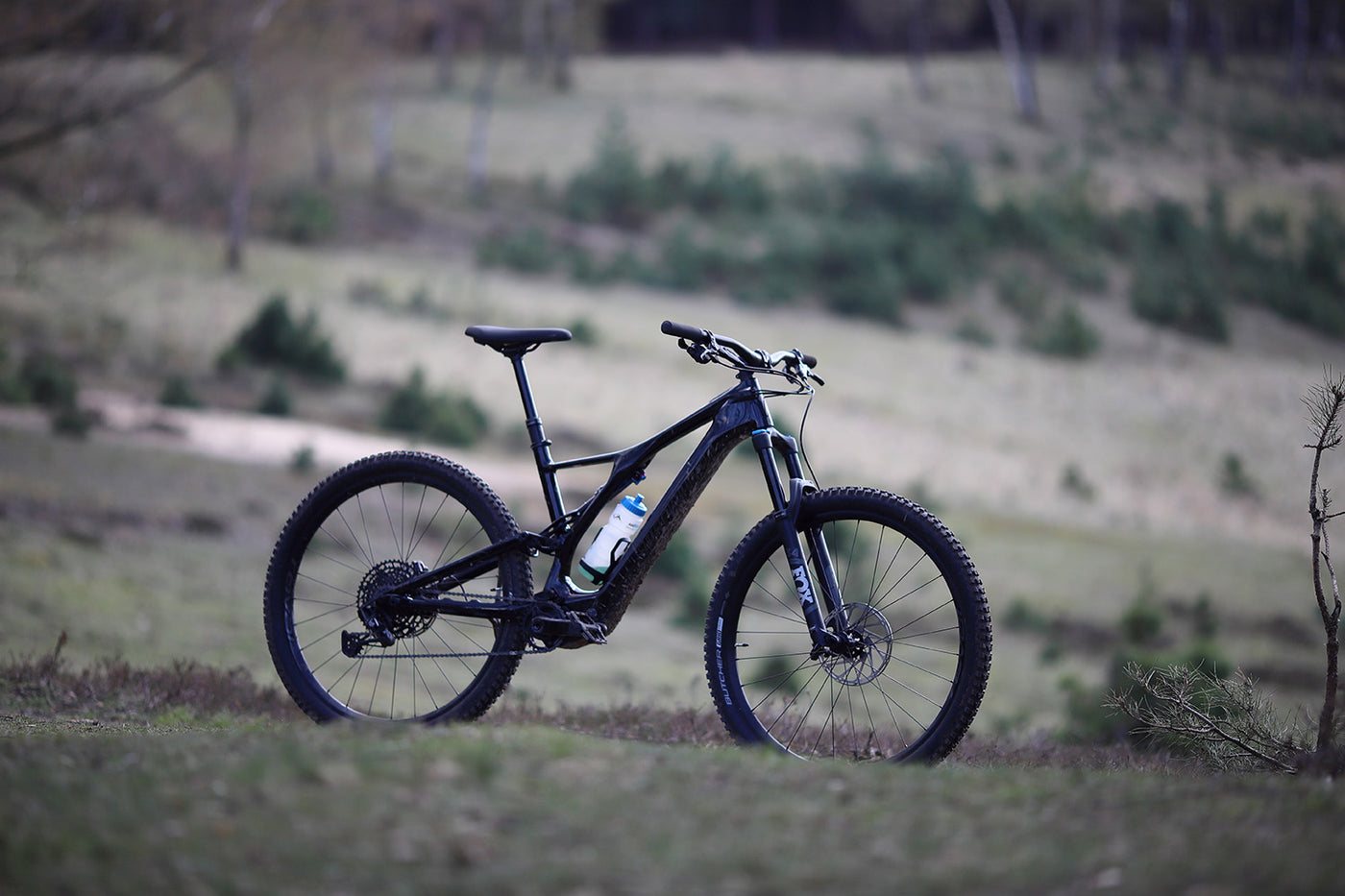 Specialized Levo SL Comp auf einem Trail in hügeliger Landschaft
