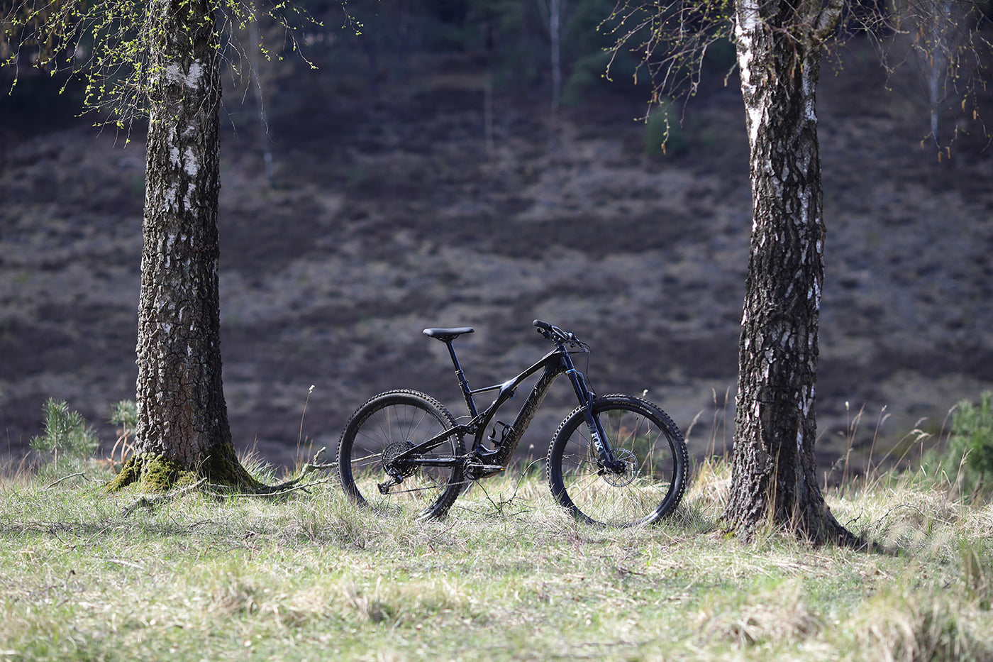 Specialized Levo SL Comp zwischen Bäumen in der Natur